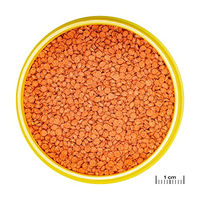Produktbild von JBL ProNovo Bits Grano Fischfutter Granulat mit Garnele Lachs und Tintenfisch für Diskus und Buntbarsche 250 ml - 250 ml