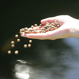 JBL ProPond Staple S Fischpellets mit Lachs und Krill 1 Liter - 3 x 113,33 g – Bild 1 von 3