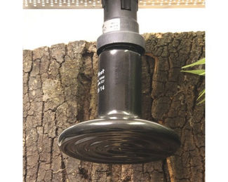 JBL ReptilHeat Keramikstrahler für Reptilien 100 W - 100 Stk. – Bild 1 von 7