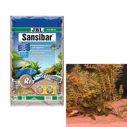 JBL Sansibar Red Bodengrund für Welse aus Naturmaterial 10 kg - 10 kg – Bild 1 von 2
