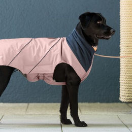 Jeggo Hundemantel Munich Rosa wasserdicht mit Fleece für den Winter 44 cm – Bild 1 von 2