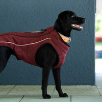 Produktbild von JEGGO Hundemantel New York aus Fleece wasserabweisend 60 cm