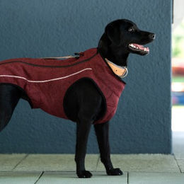 Jeggo Hundemantel New York Magnolia Blossom Polarfleece-Jacke Rosa 33 cm wasserabweisend – Bild 1 von 3