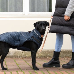 Jeggo Hundemantel Stockholm Blau wasserdicht mit Fleece 36 cm – Bild 1 von 2