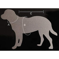 Produktbild von JEGGO Hundemantel Wasserdichte Regenjacke für Hunde aus Ripstop Material in Anthrazit/Orange Größe XS