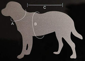 Produktbild von JEGGO Hundemantel Wasserdichte Regenjacke für Hunde in Anthrazit/Orange Größe S