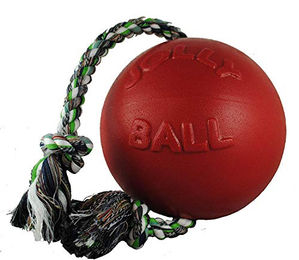 Jolly Pets Hundespielzeug Ball Romp-n-Roll aus Gummi Rot 15 cm - 15,2 cm – Bild 1 von 3
