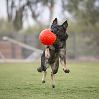 Produktbild von Jolly Pets Hundespielzeug Fußball Orange Größe L aus Kunststoff - 20 cm