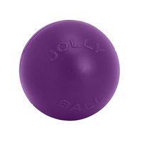 Produktbild von Jolly Pets Hundespielzeug PushnPlay Ball aus Kunststoff in Blau oder Lila