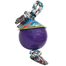 Jolly Pets Romp-n-Roll Hundespielzeug mit Ball und Seil in Lila und Grün Größe M - 1 Stk. – Bild 1 von 5