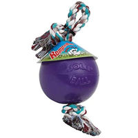Produktbild von Jolly Pets Romp-n-Roll Hundespielzeug mit Ball und Seil in Lila und Grün Größe M - 1 Stk.