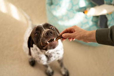 Josera Denties Zahnpflege-Snack Geflügel für erwachsene Hunde getreidefrei und ohne Zucker 13 x 180 g - 13 x 180 g – Bild 1 von 8