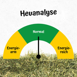 Produktbild von Josera Heuanalyse