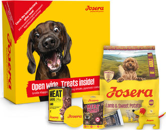 Produktbild von Josera Kibble Mini Probierpaket Getreidefrei Lamm für erwachsene Hunde 900g