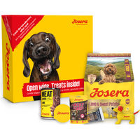 Produktbild von Josera Kibble Mini Probierpaket Getreidefrei Lamm für erwachsene Hunde 900g