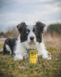 Josera Meat Lovers Menu Chicken with Carrot Hundefutter nass Adult Huhn mit Karotte 6 x 800 g - 6 x 800 g – Bild 1 von 7
