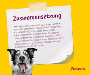 Josera MiniSenior Hundefutter Lachs Getreidefrei für Senior Hunde kleiner Rassen 5 x 900 g - 5 x 900 g – Bild 1 von 2