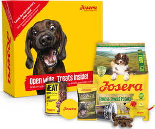 Produktbild von Josera Probierpaket Hund Lamm getreidefrei und monoprotein