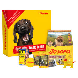 Produktbild von Josera Probierpaket Mini Soßenmix Getreidefrei für erwachsene Hunde mit Lamm und Rind