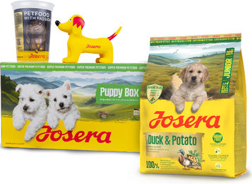 Produktbild von Josera Puppy Box Junior Hundewelpen Ente und Kartoffel 900g