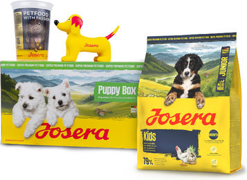 Josera Puppy Box Junior Kids Hundetrockenfutter Huhn & Reis glutenfrei 900g – Bild 1 von 11