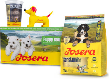 Josera Puppy Box SensiJunior Welpenfutter Sensitive für die Verdauung – Bild 1 von 1