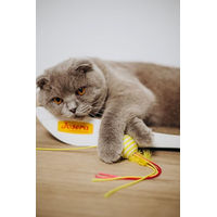 Produktbild von JosiCat Nassfutter für ausgewachsene Katzen Huhn in Sauce Adult 12 x 415 g - 12 x 415 g