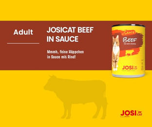 JosiCat Nassfutter für ausgewachsene Katzen Rind in Sauce Adult 12 x 415 g - 12 x 415 g – Bild 1 von 2