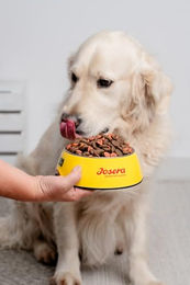 JosiDog Regular Geflügel Trockenfutter für erwachsene Hunde Glutenfrei 5 x 900 g - 5 x 900 g – Bild 1 von 6