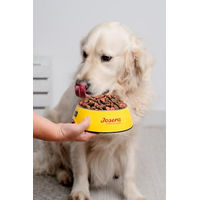 Produktbild von JosiDog Regular Geflügel Trockenfutter für erwachsene Hunde Glutenfrei 5 x 900 g - 5 x 900 g