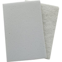 Produktbild von Jöst Superclean-PAD Scheibenreiniger für Welse Grau 100x150mm 1 Set