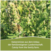 Produktbild von JR Farm Bavarian Catnip Katzenminze-Murmeln Katzen Spielzeug 10 Stück - 35 g