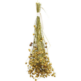 Produktbild von JR Farm Birds Flachs Leinsaat Ergänzungsfutter für Ziervögel 30g - 30 g