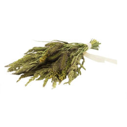 JR Farm Birds Hirsen-Potpourri Ergänzungsfutter für Vögel 50 g - 50 g – Bild 1 von 5