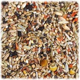 JR Farm Birds Individual Kanarienvogel Hauptfutter ohne tierisches Protein 1 kg - 1 kg – Bild 1 von 3