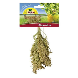 JR Farm Birds Rispenhirse Vogelsnack ohne tierisches Protein 100 g - 100 g – Bild 1 von 7