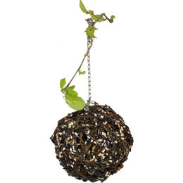 JR Farm Birds Schlemmer-Weidenkugel Vogelsnack mit Sonnenblumensaat und Erdnüssen 300 g - 300 g – Bild 1 von 3