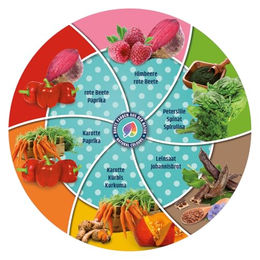 JR Farm Blue Tree Hundesnack Strawberry Cheesie Cake mit Rind ohne Zucker 60 g - 60 g – Bild 1 von 4