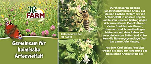 JR Farm Dill-Stäbchen Snack für Kaninchen und Ziervögel ohne tierisches Protein 15g - 15 g – Bild 1 von 5