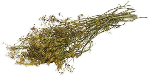 JR Farm ESN Dill-Ernte getrocknete Kräuter für Kaninchen und Nager 80 g - 80 g – Bild 1 von 4