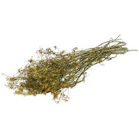Produktbild von JR Farm ESN Dill-Ernte getrocknete Kräuter für Kaninchen und Nager 80 g - 80 g