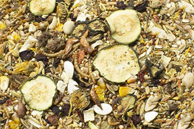 JR Farm Food Zwerghamster Adult Hauptfutter mit Garnele und Insekten 500g - 2 x 500 g – Bild 1 von 9