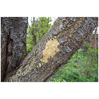 Produktbild von JR Farm Garden Bark-Butter Nüsse Ergänzungsfutter für Wildvögel 2kg