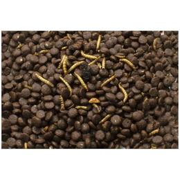 JR Farm Garden Grainless Igelfutter mit Mehlwürmern 2,5 kg – Bild 1 von 3