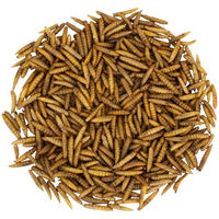 Produktbild von JR Farm Garden Soldatenfliegenlarven Ergänzungsfutter für Wildvögel 10 kg