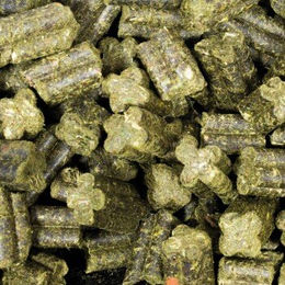 JR Farm Grainless Complete Meerschweinchen Hauptfutter getreidefrei und ohne Zucker 15 kg - 15 kg – Bild 1 von 6