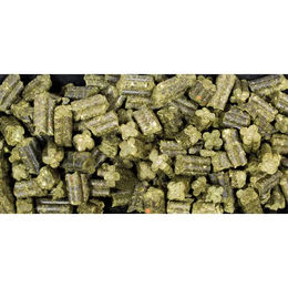 JR Farm Grainless Complete Zwergkaninchen Getreidefreies Hauptfutter ohne tierisches Protein 3500 g - 3500 g – Bild 1 von 8