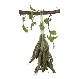JR Farm Grüne Senegalhirse Vogelfutter für Wellensittiche und Kanarienvögel 8 x 50 g - 8 x 50 g – Bild 1 von 5