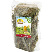 Produktbild von JR Farm Kolbenhirse Ergänzungsfutter für Vögel 400g - 400 g