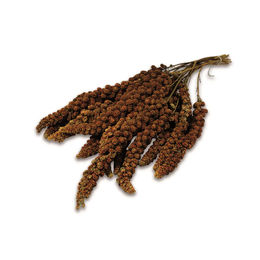 JR Farm Kolbenhirse rot für Vögel 250 g - 250 g – Bild 1 von 5